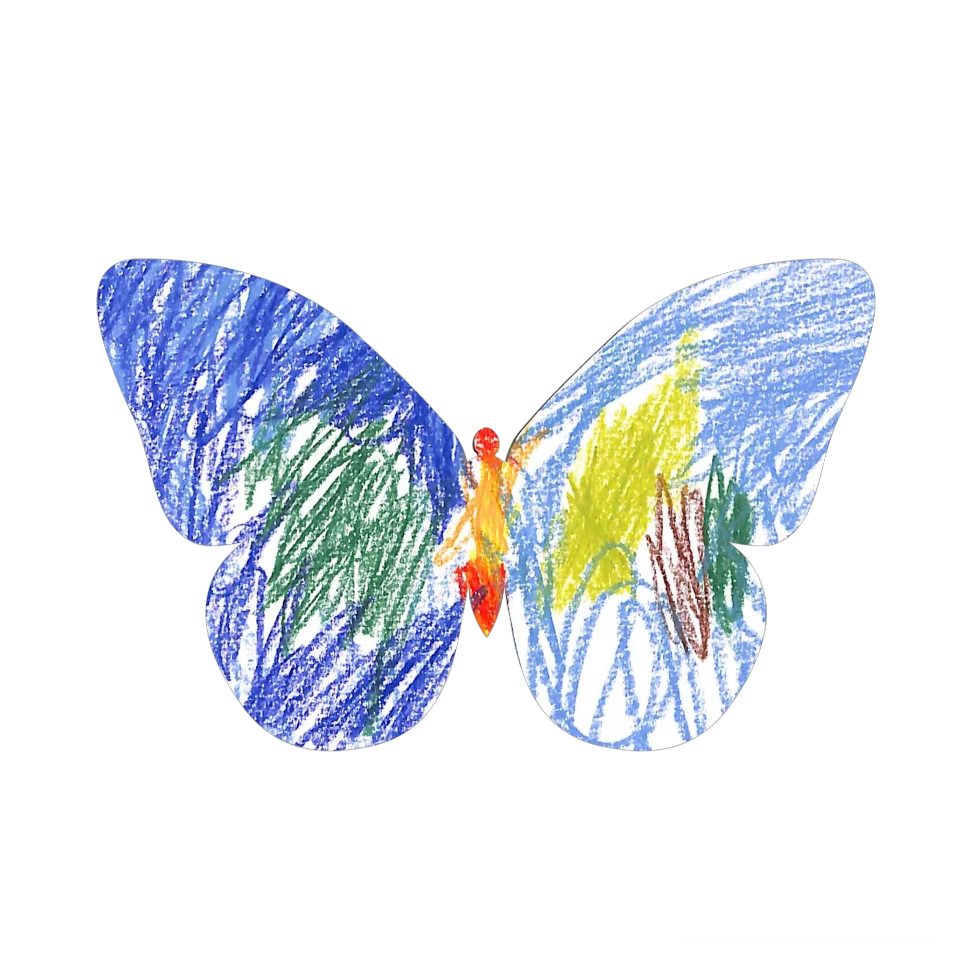 Original Butterfly Image