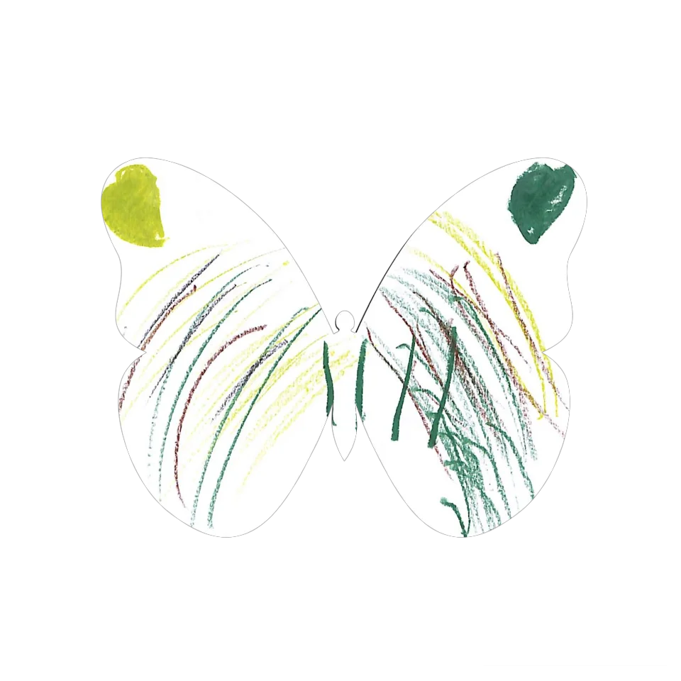 Original Butterfly Image