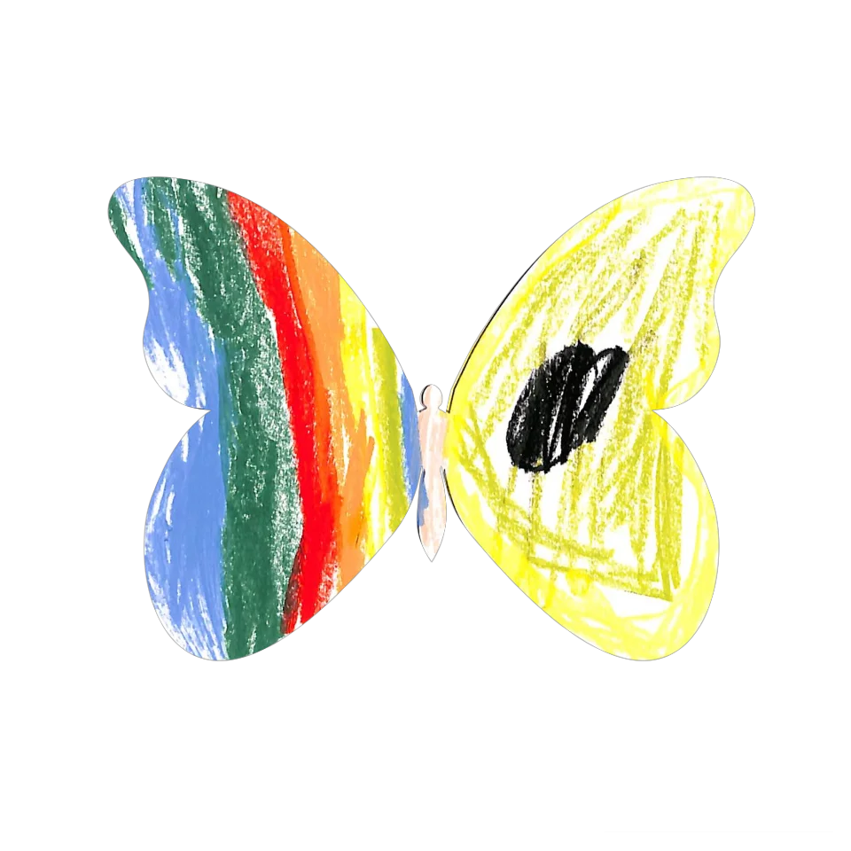 Original Butterfly Image