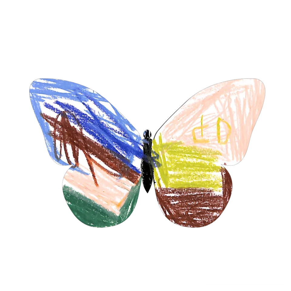 Original Butterfly Image