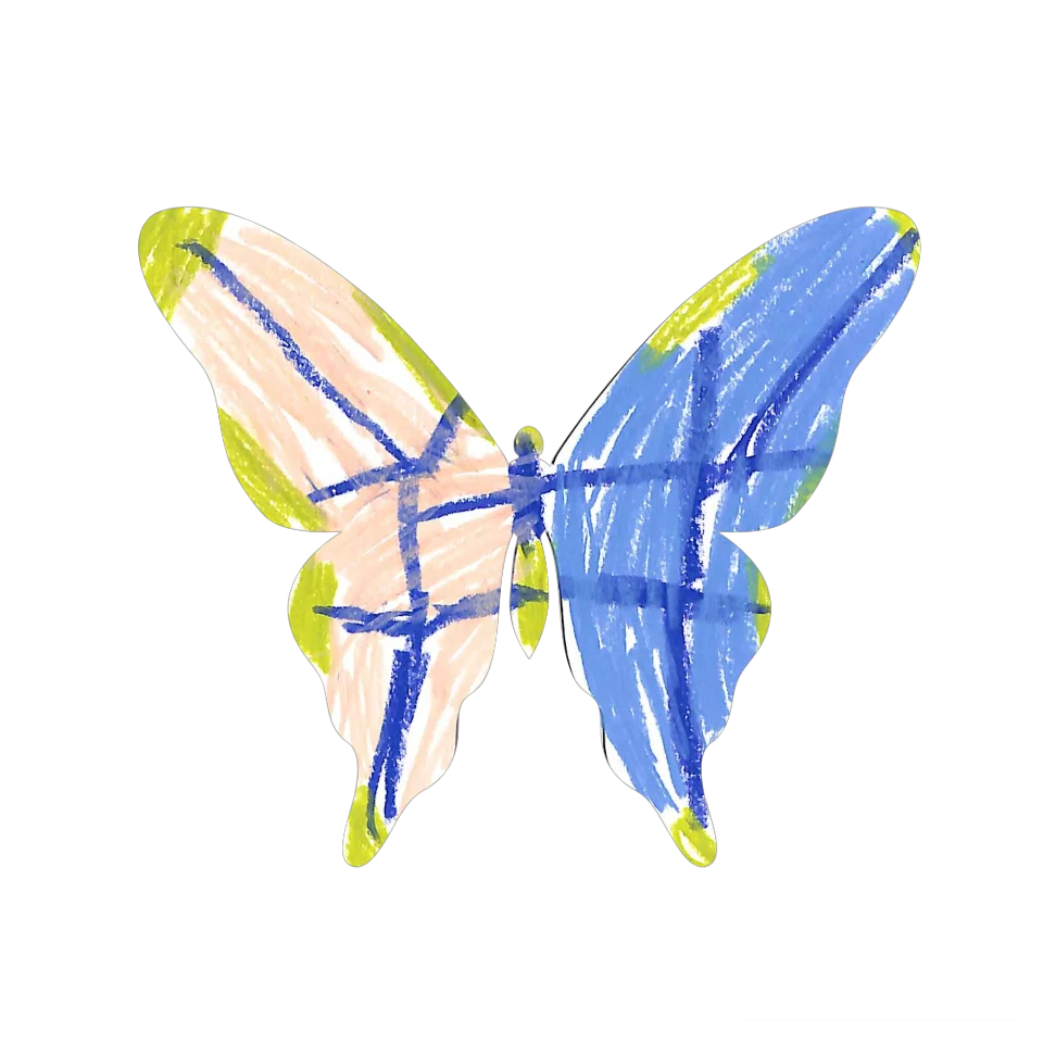 Original Butterfly Image