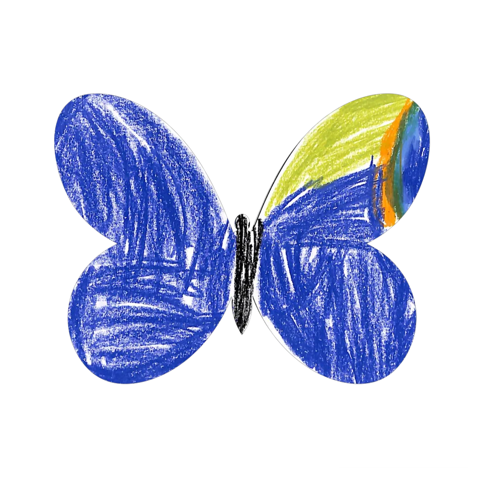 Original Butterfly Image