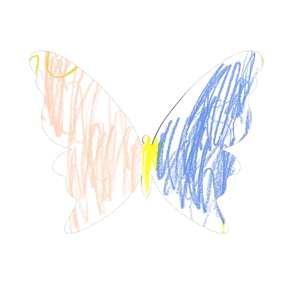 Original Butterfly Image