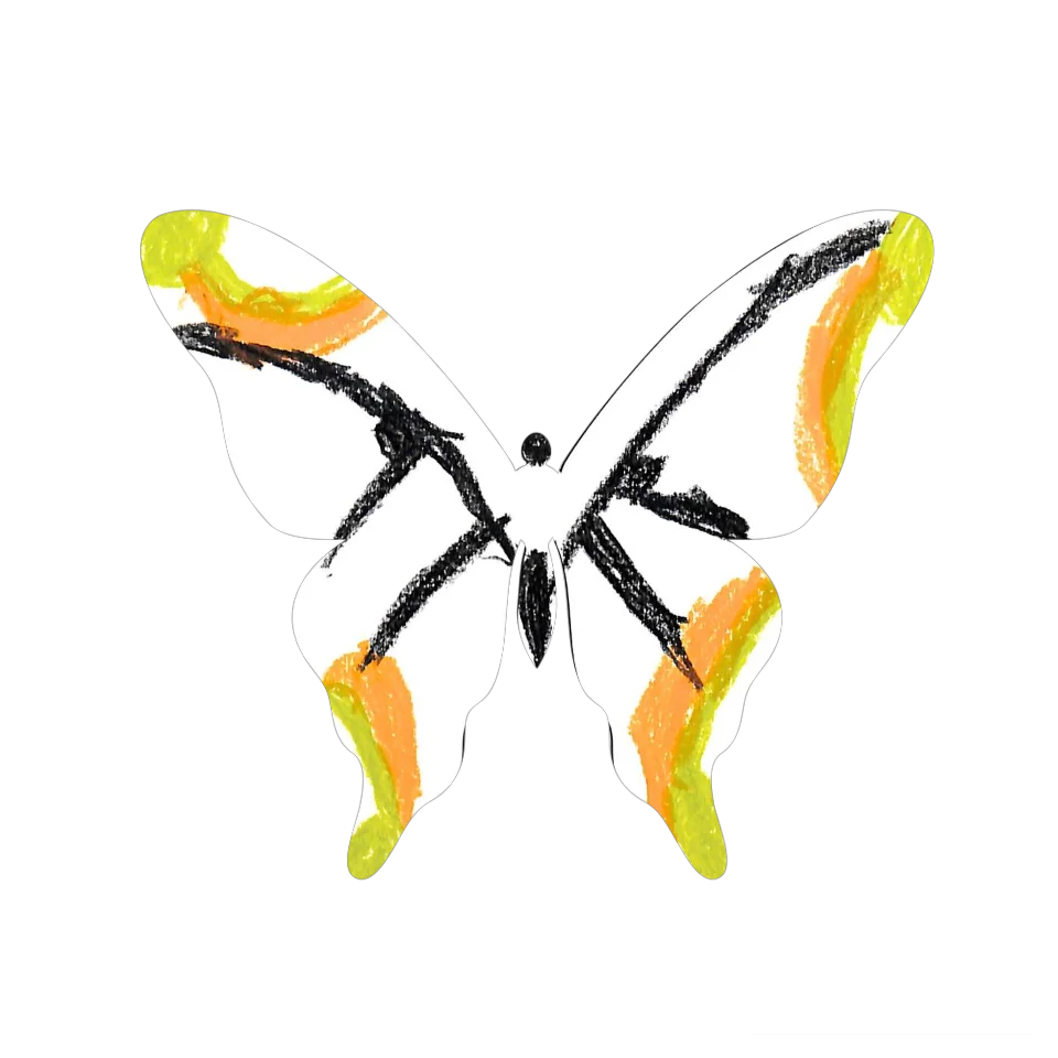 Original Butterfly Image