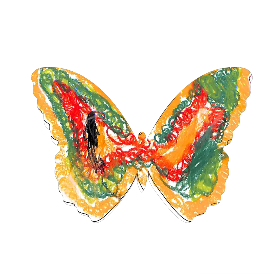 Original Butterfly Image