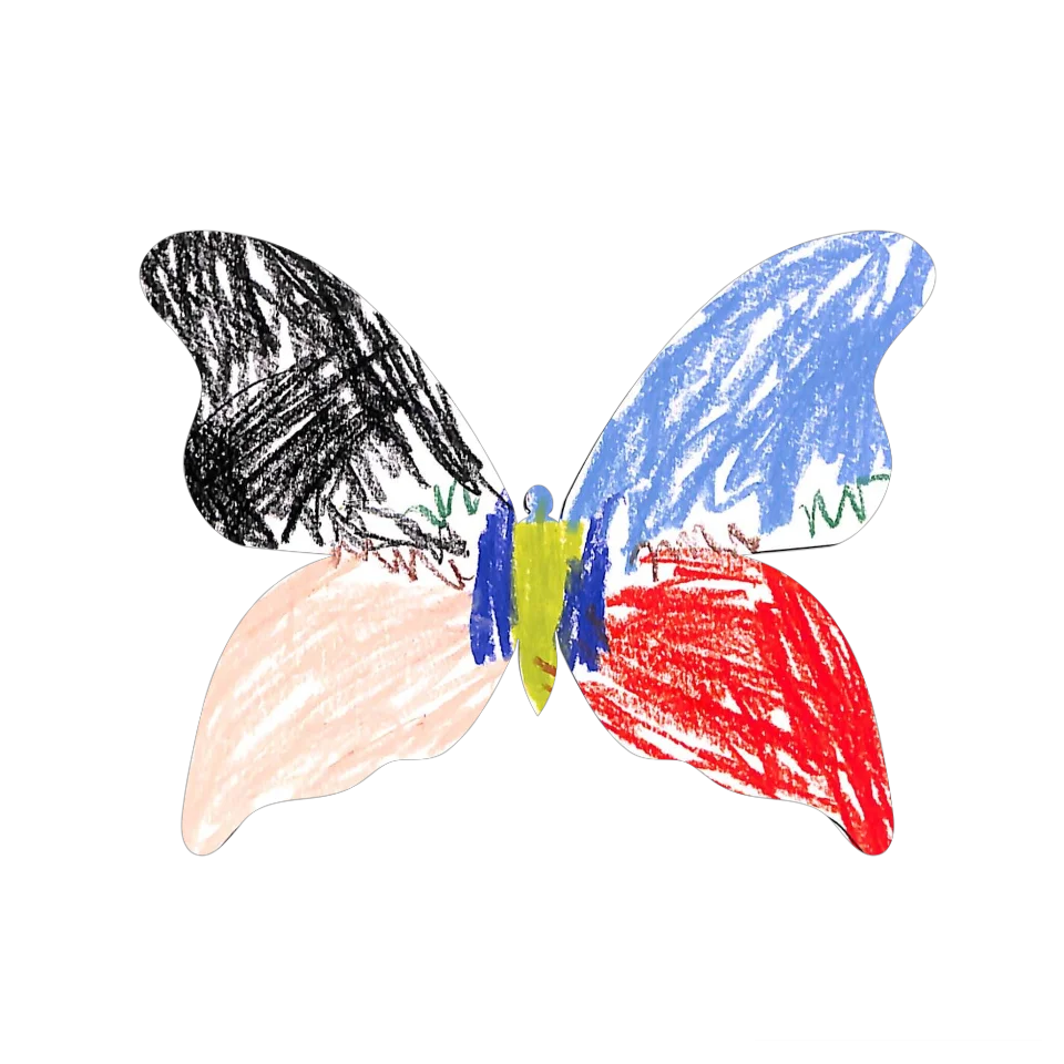 Original Butterfly Image