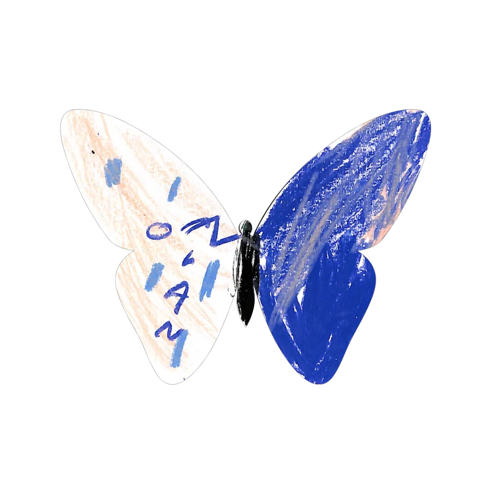Original Butterfly Image