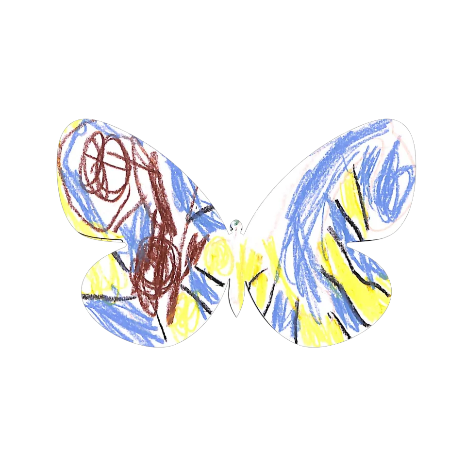 Original Butterfly Image