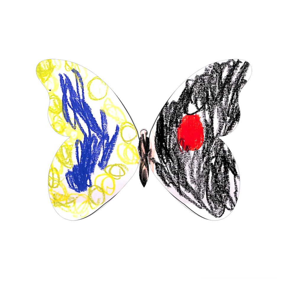 Original Butterfly Image