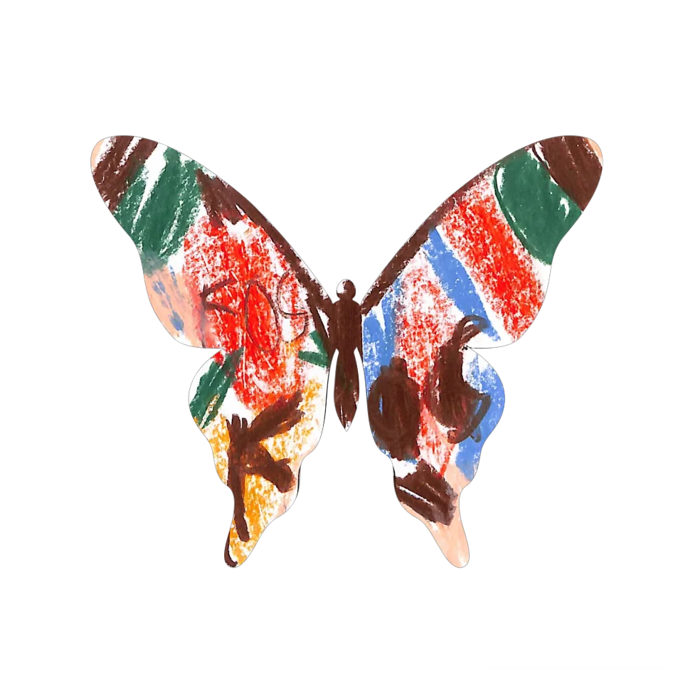Original Butterfly Image