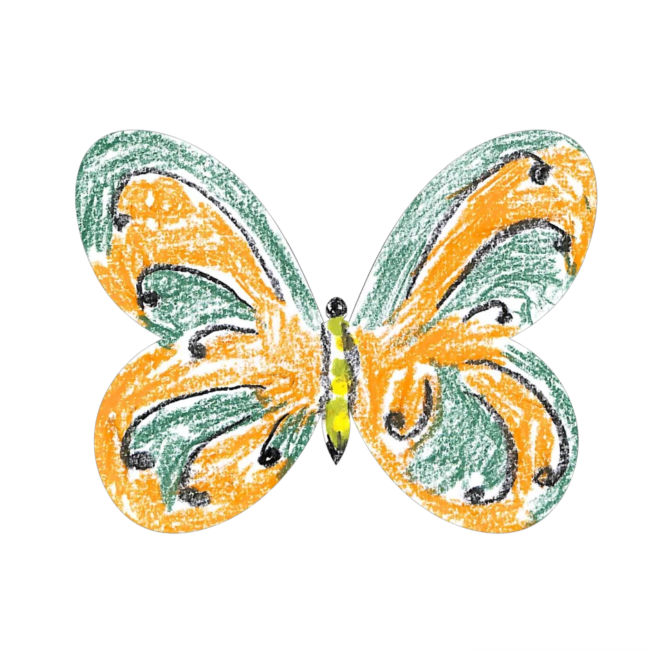 Original Butterfly Image