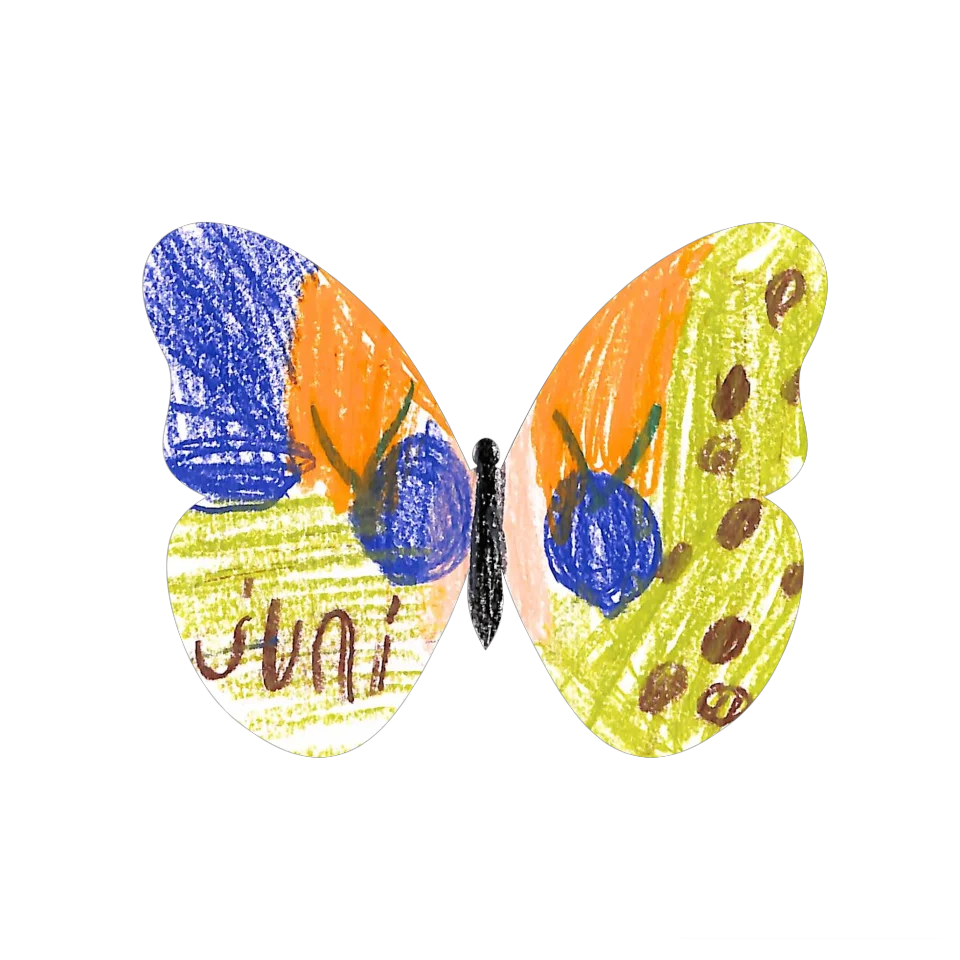Original Butterfly Image