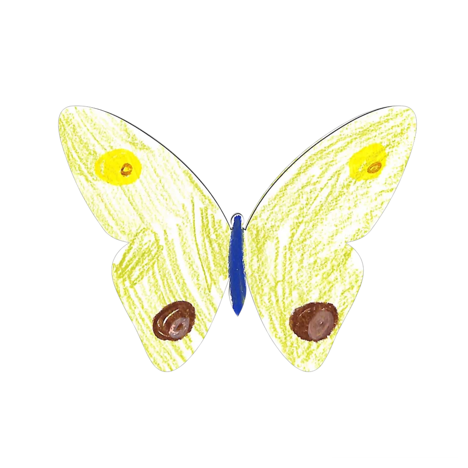 Original Butterfly Image