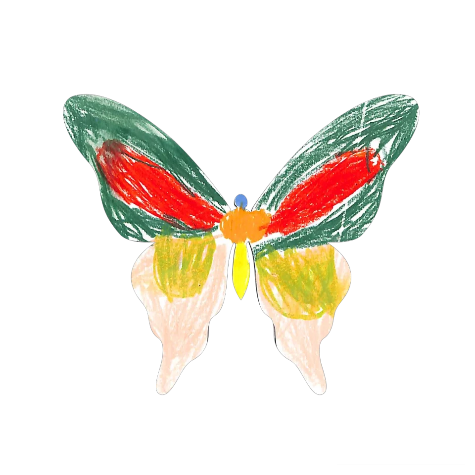 Original Butterfly Image