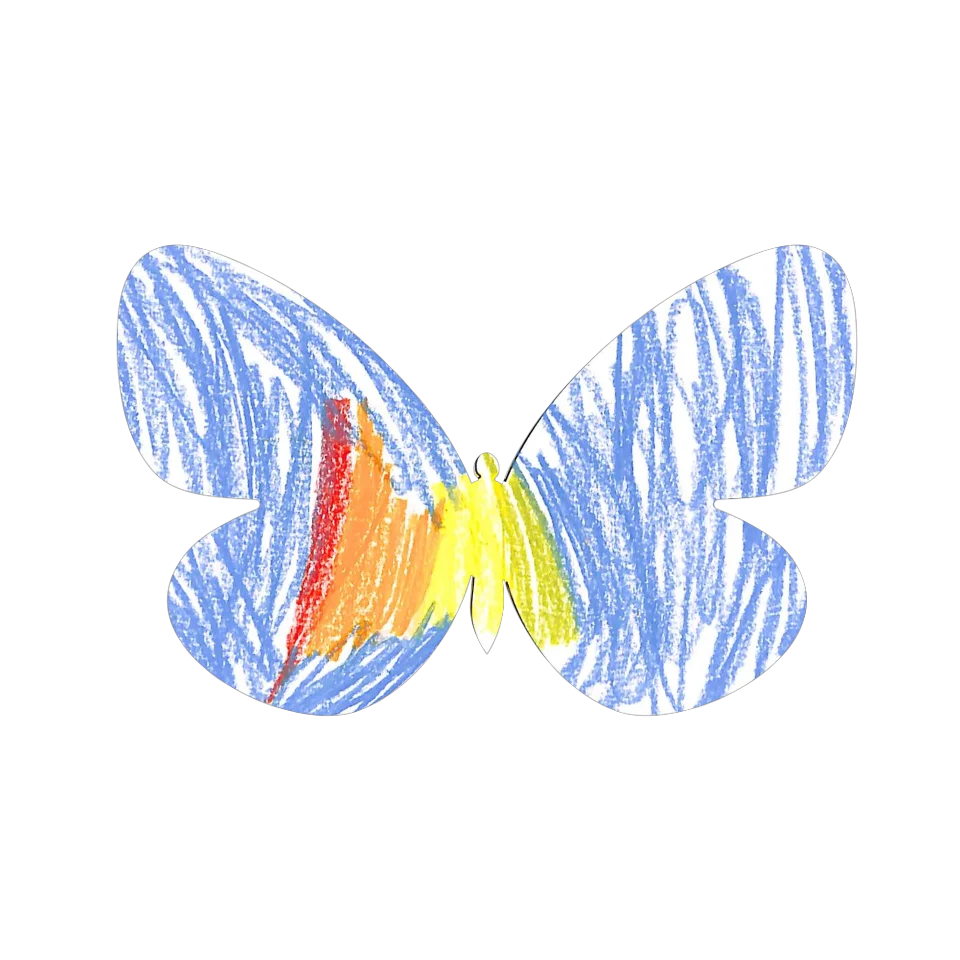 Original Butterfly Image