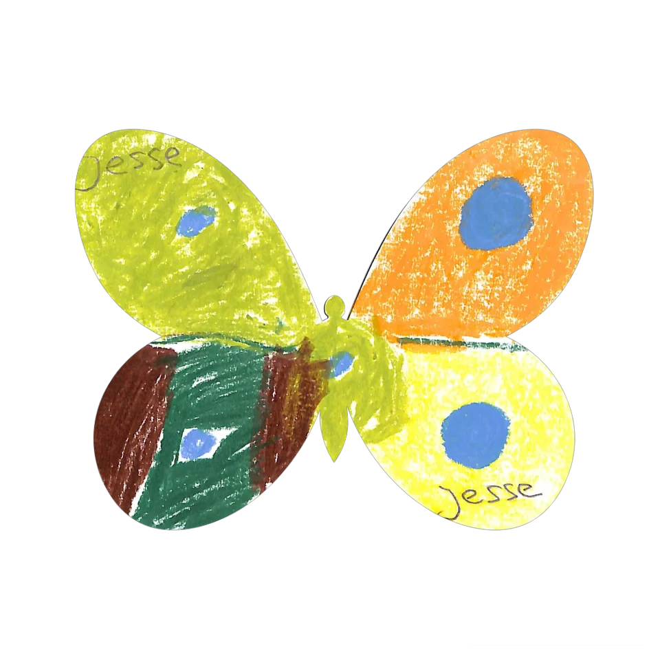 Original Butterfly Image