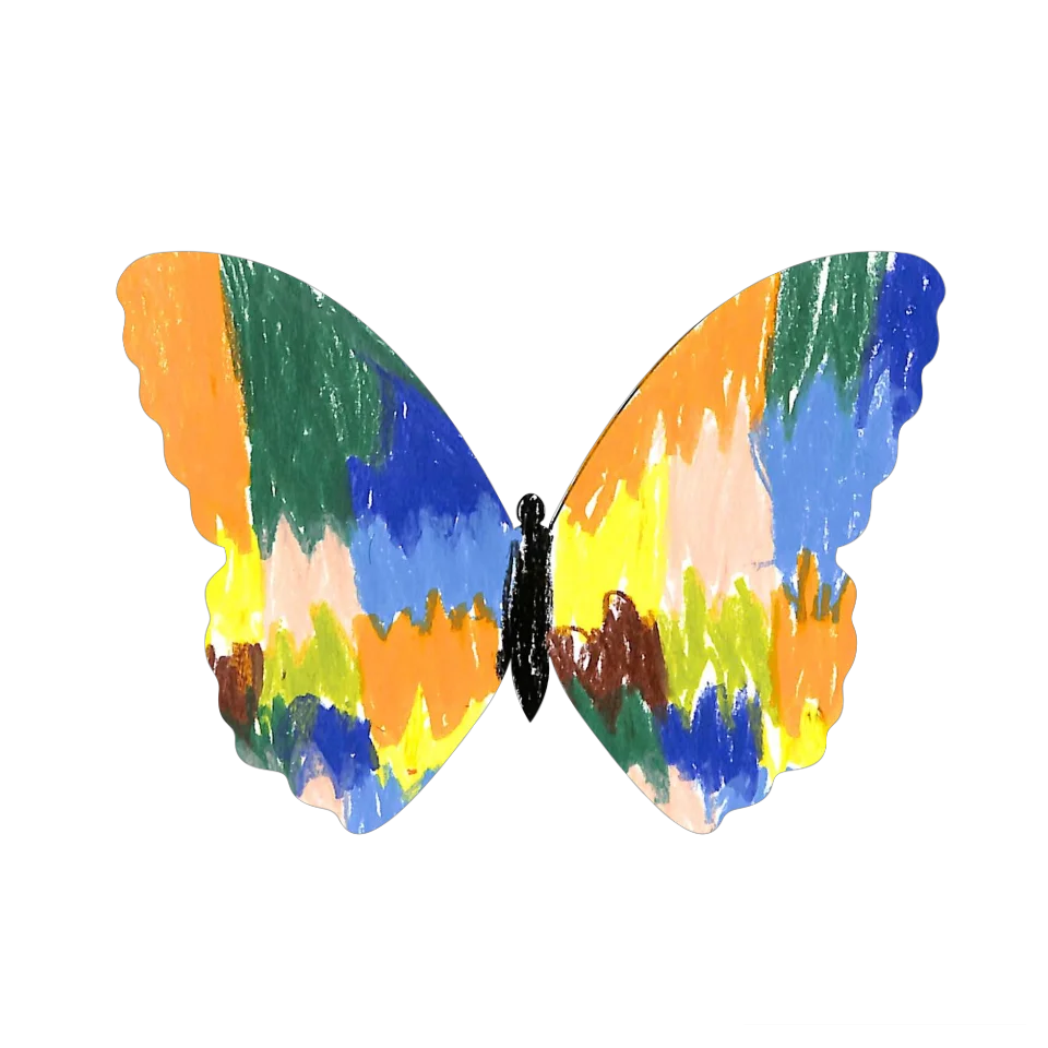 Original Butterfly Image