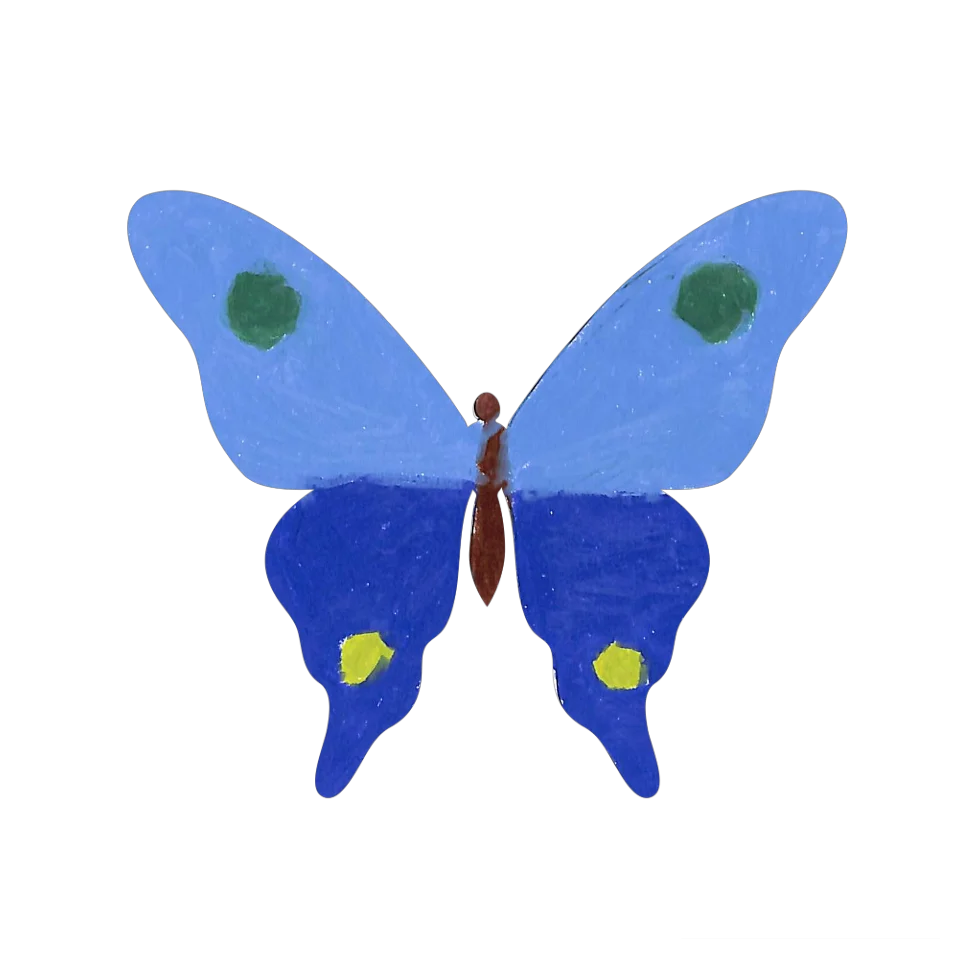 Original Butterfly Image