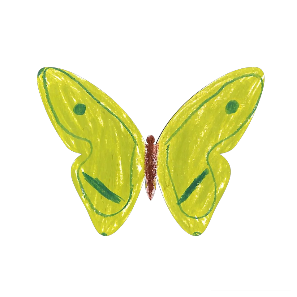 Original Butterfly Image