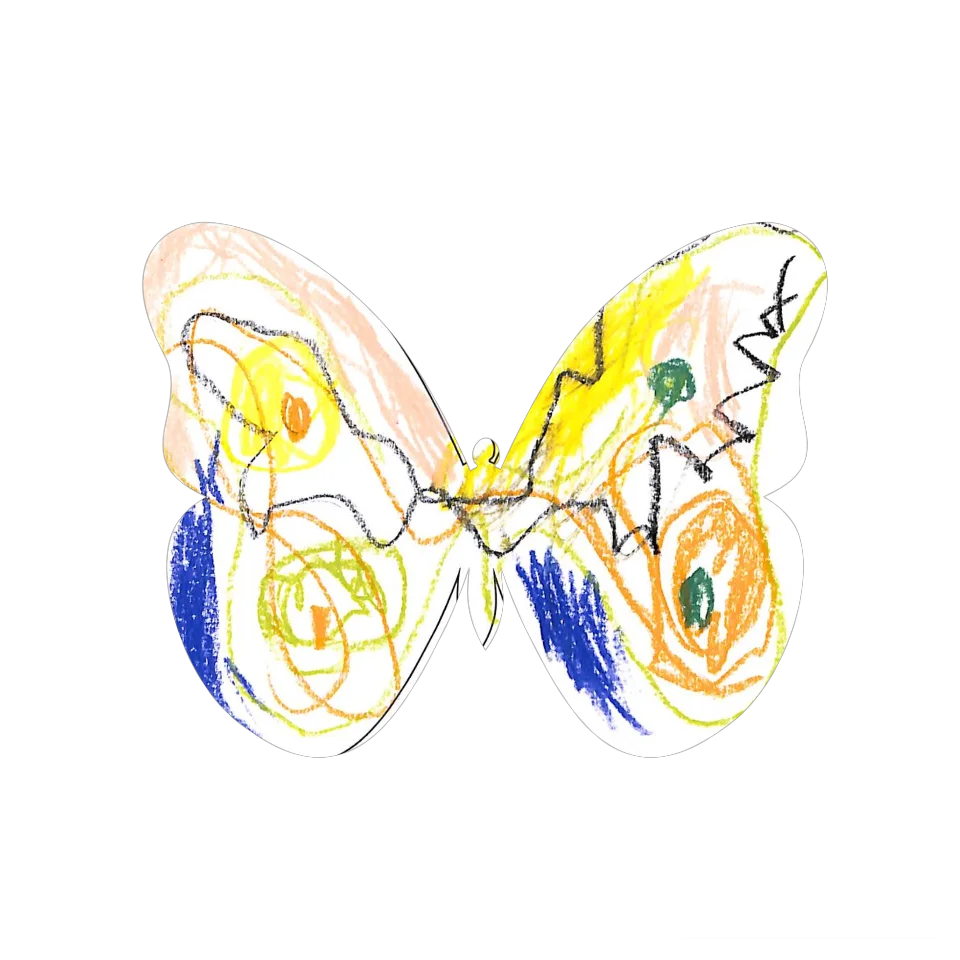 Original Butterfly Image