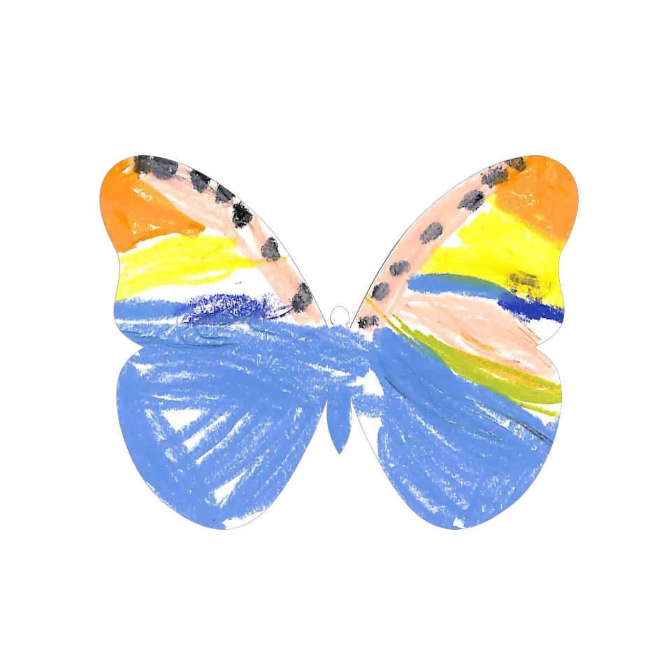 Original Butterfly Image