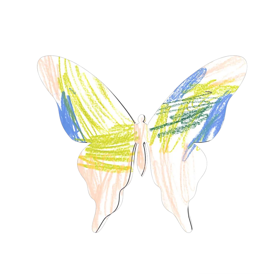 Original Butterfly Image