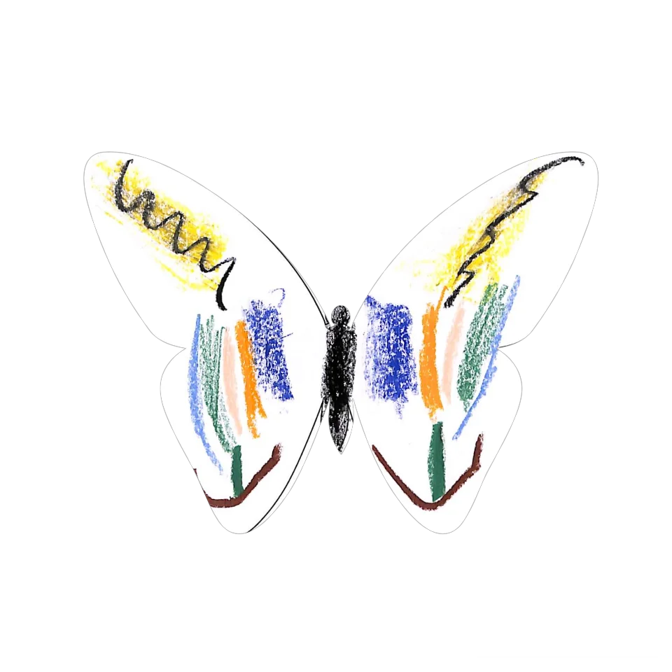 Original Butterfly Image