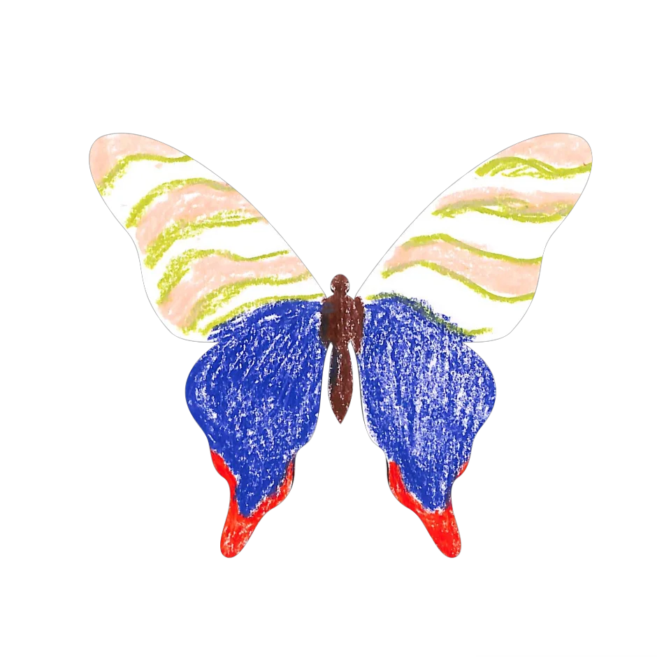 Original Butterfly Image