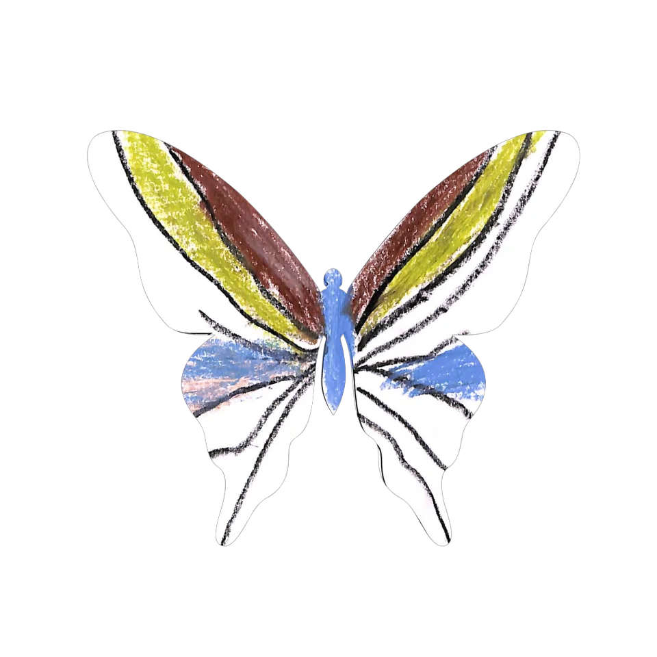 Original Butterfly Image