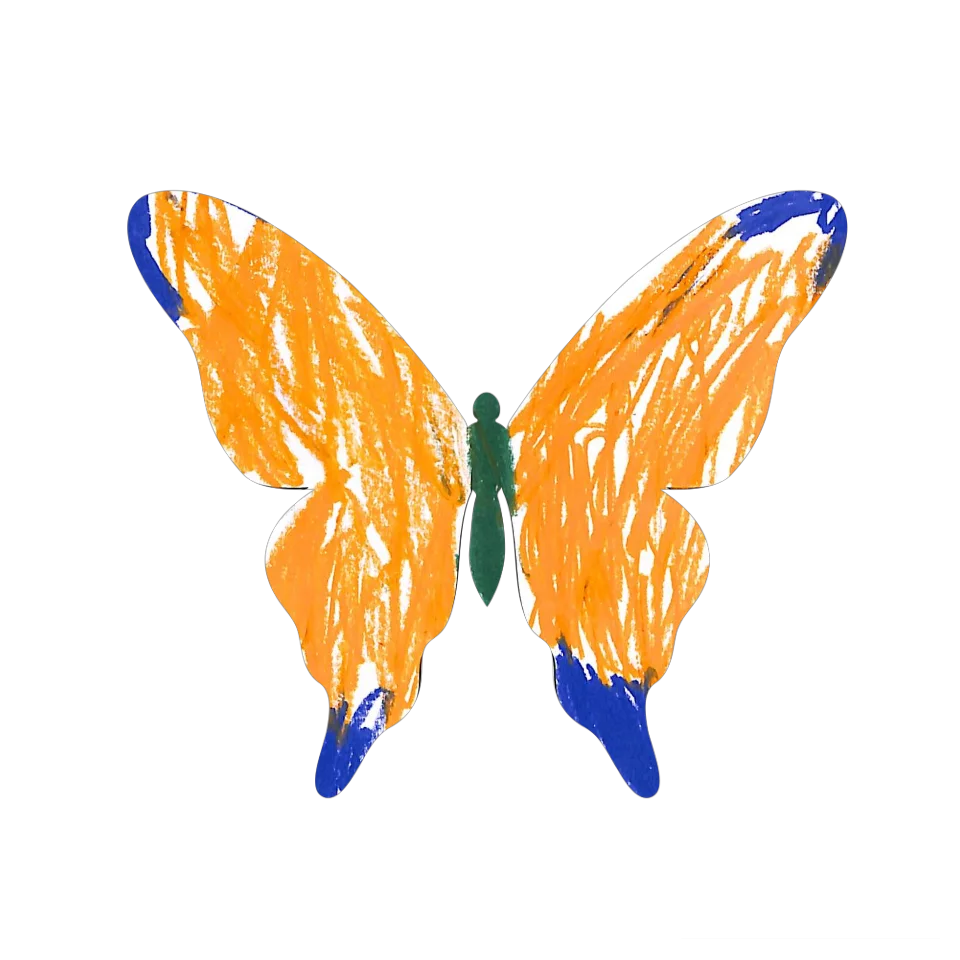 Original Butterfly Image