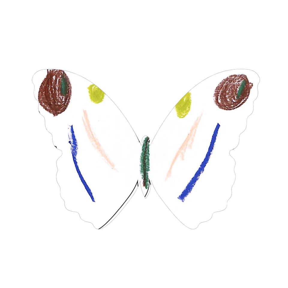 Original Butterfly Image