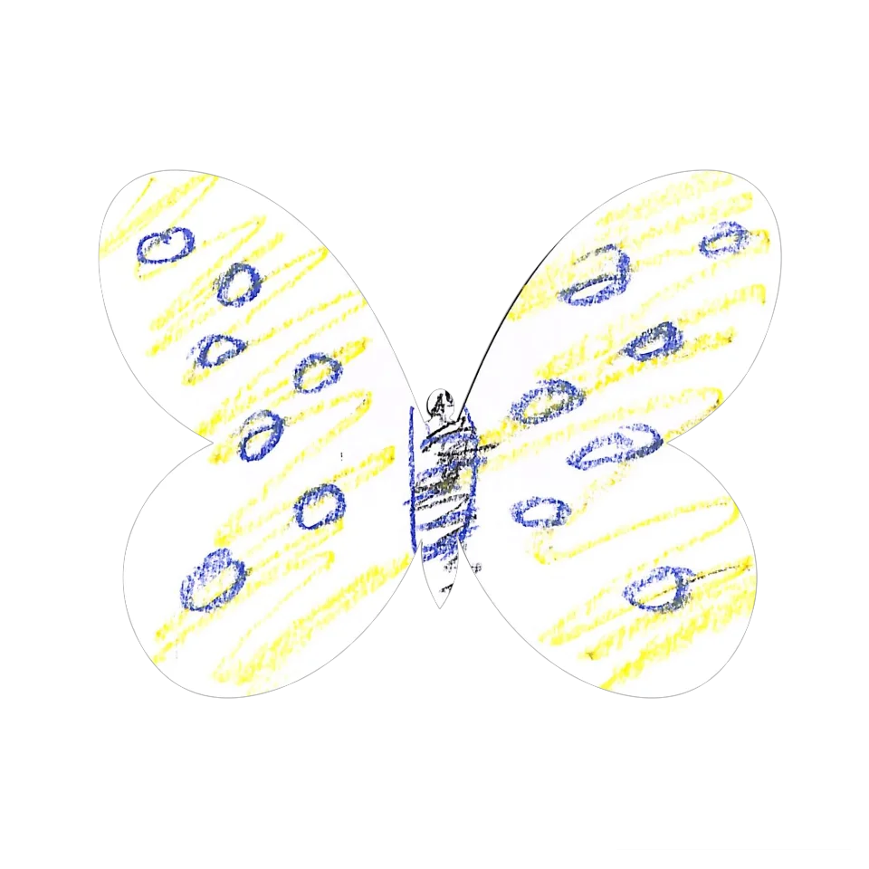 Original Butterfly Image