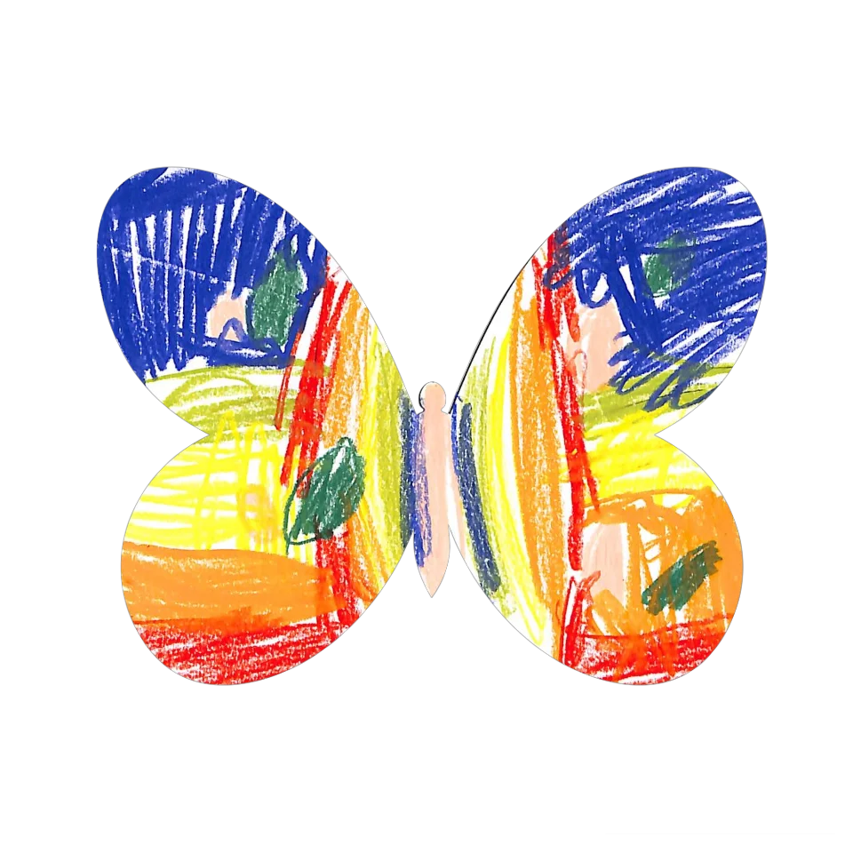 Original Butterfly Image