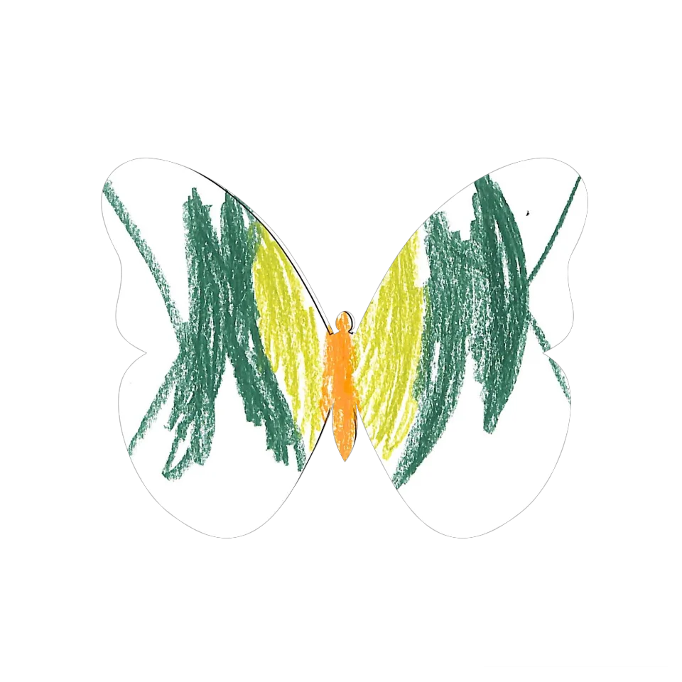 Original Butterfly Image