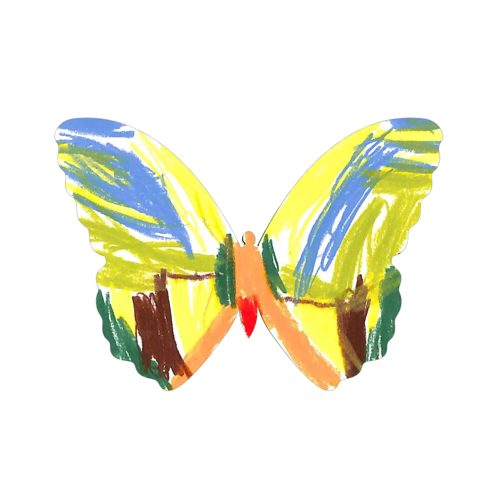 Original Butterfly Image