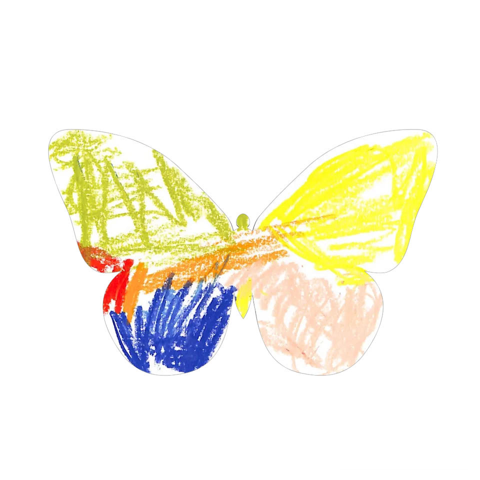 Original Butterfly Image
