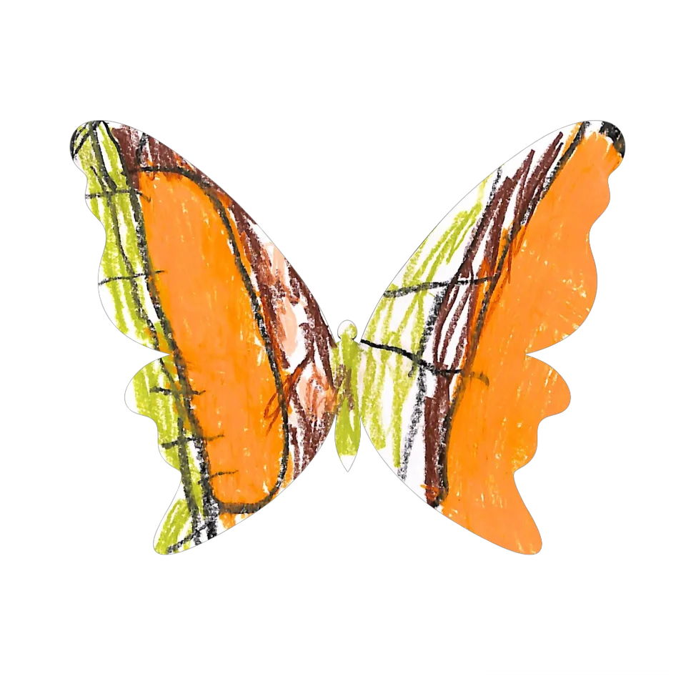 Original Butterfly Image
