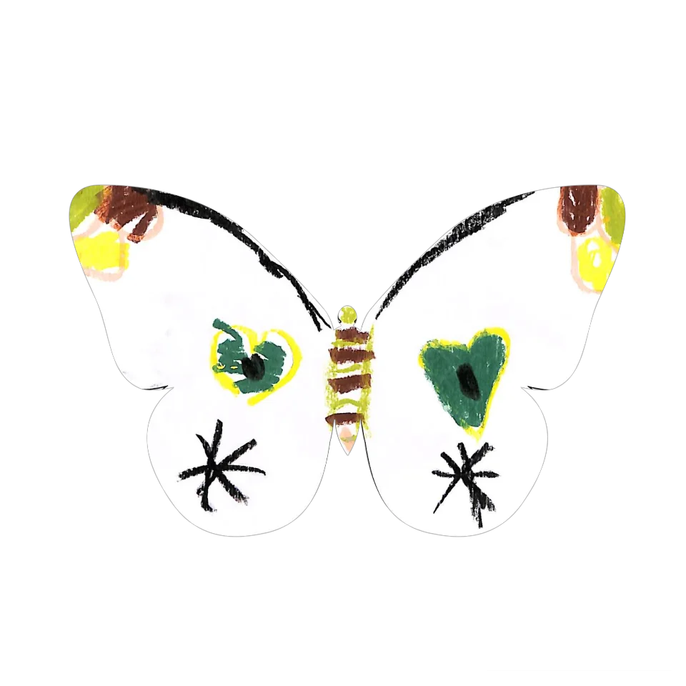 Original Butterfly Image