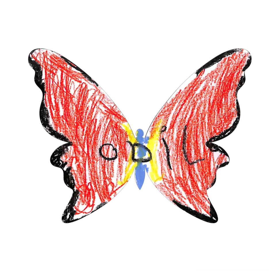 Original Butterfly Image