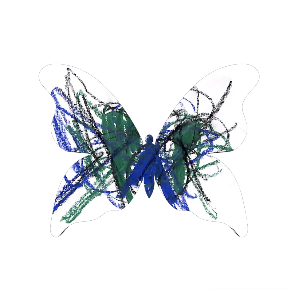 Original Butterfly Image