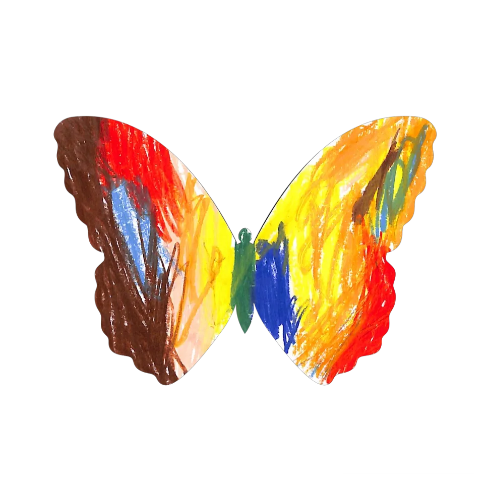 Original Butterfly Image
