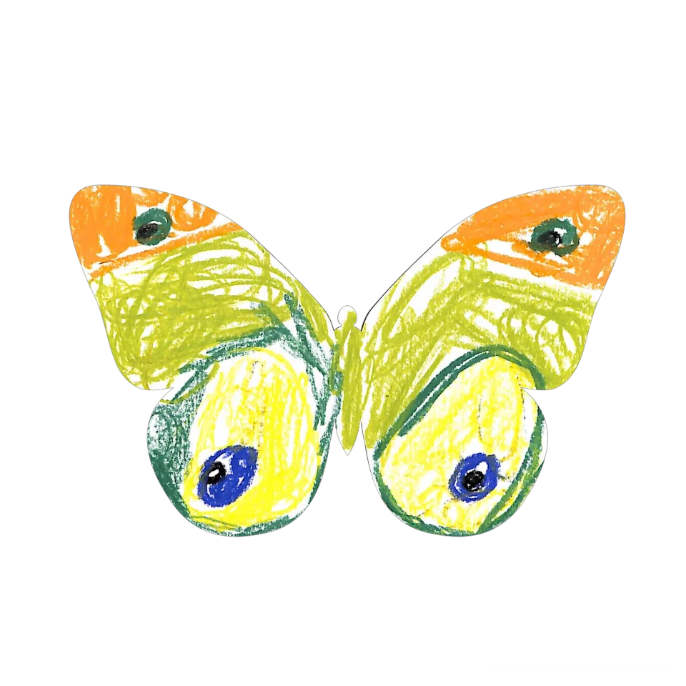 Original Butterfly Image