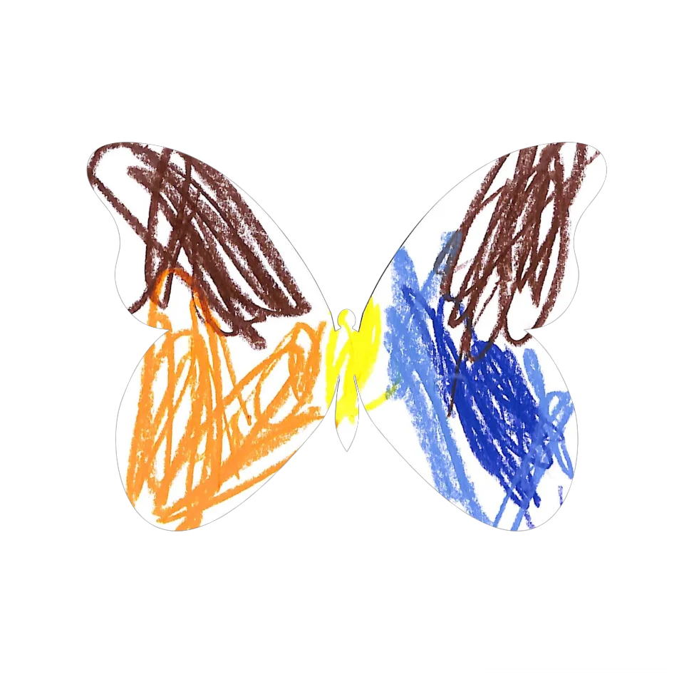 Original Butterfly Image