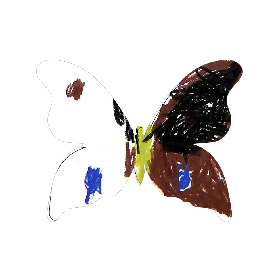 Original Butterfly Image