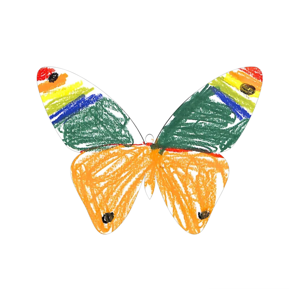 Original Butterfly Image
