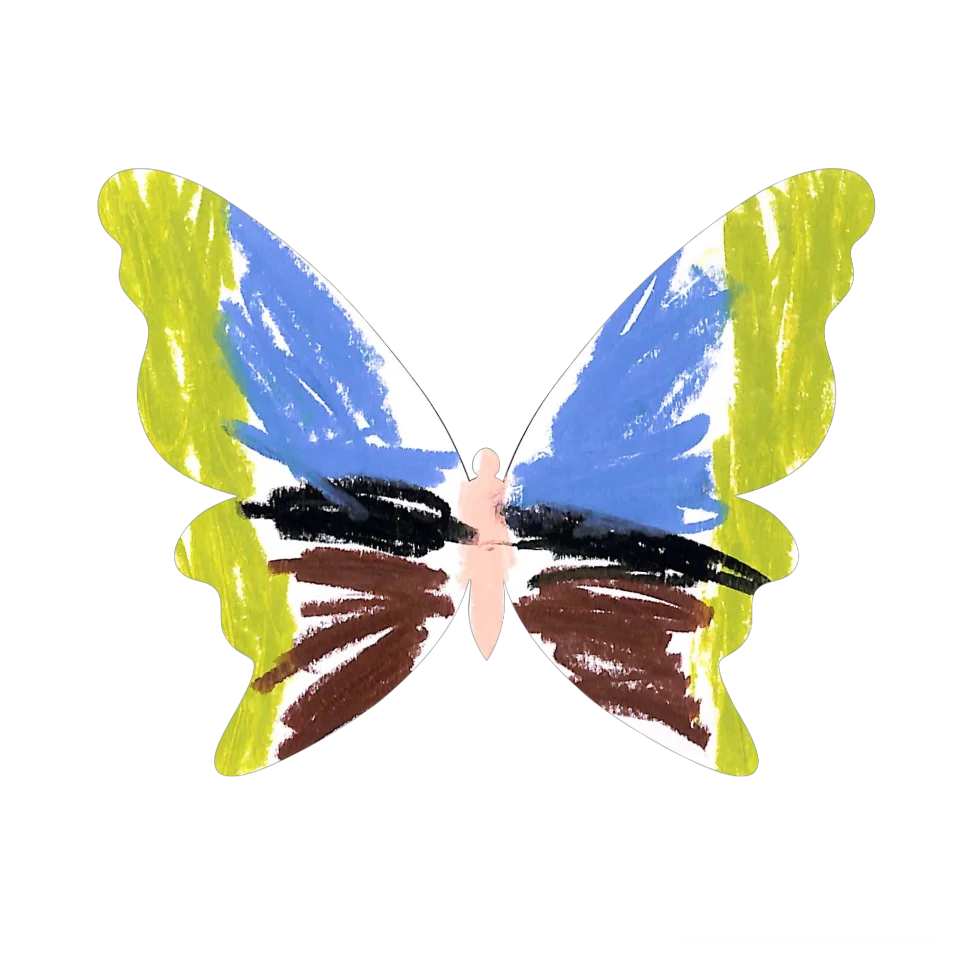 Original Butterfly Image