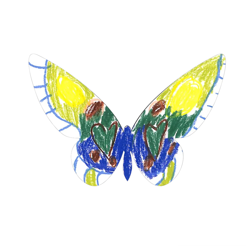 Original Butterfly Image