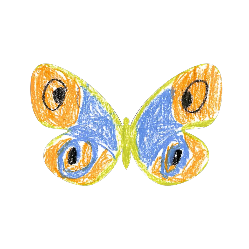 Original Butterfly Image
