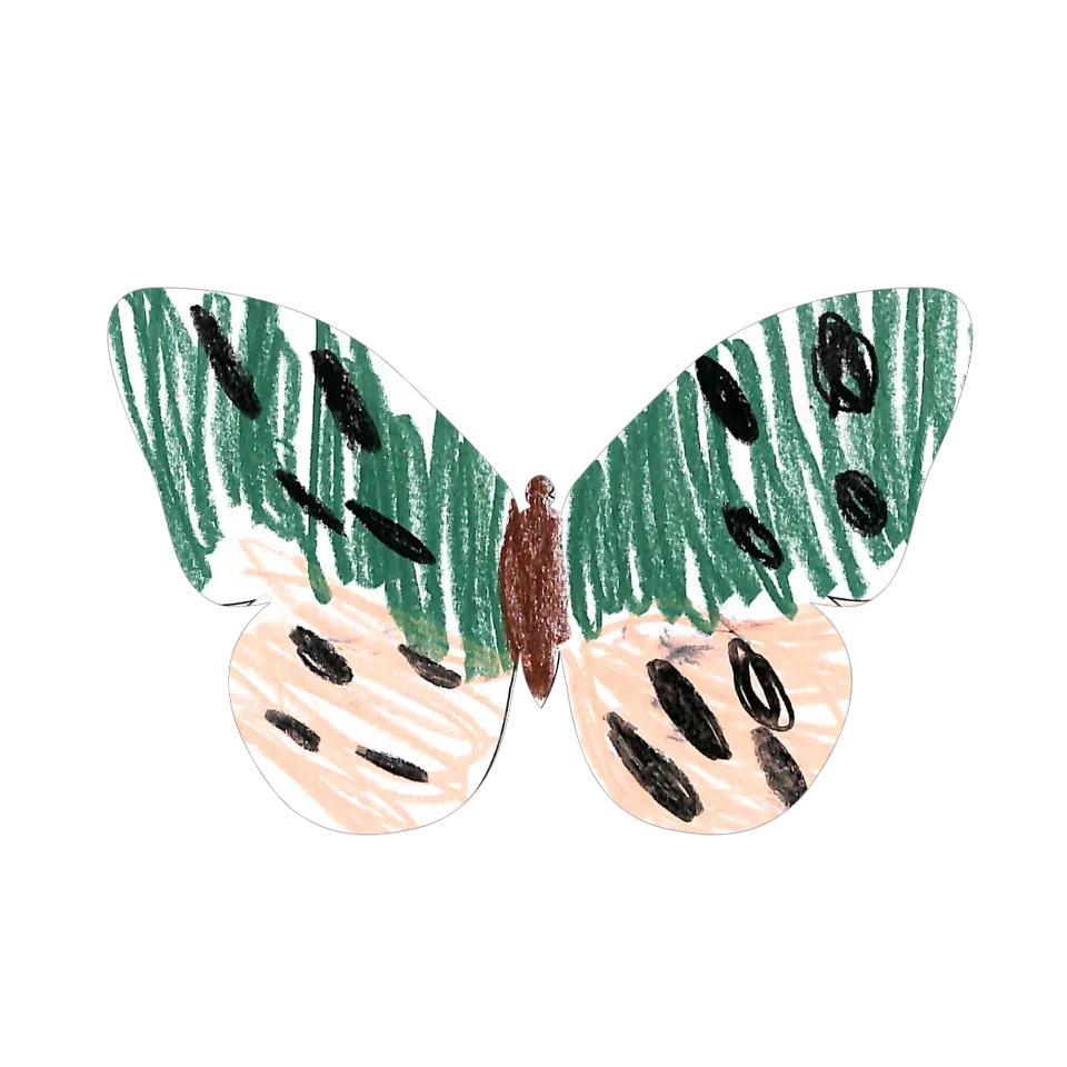Original Butterfly Image
