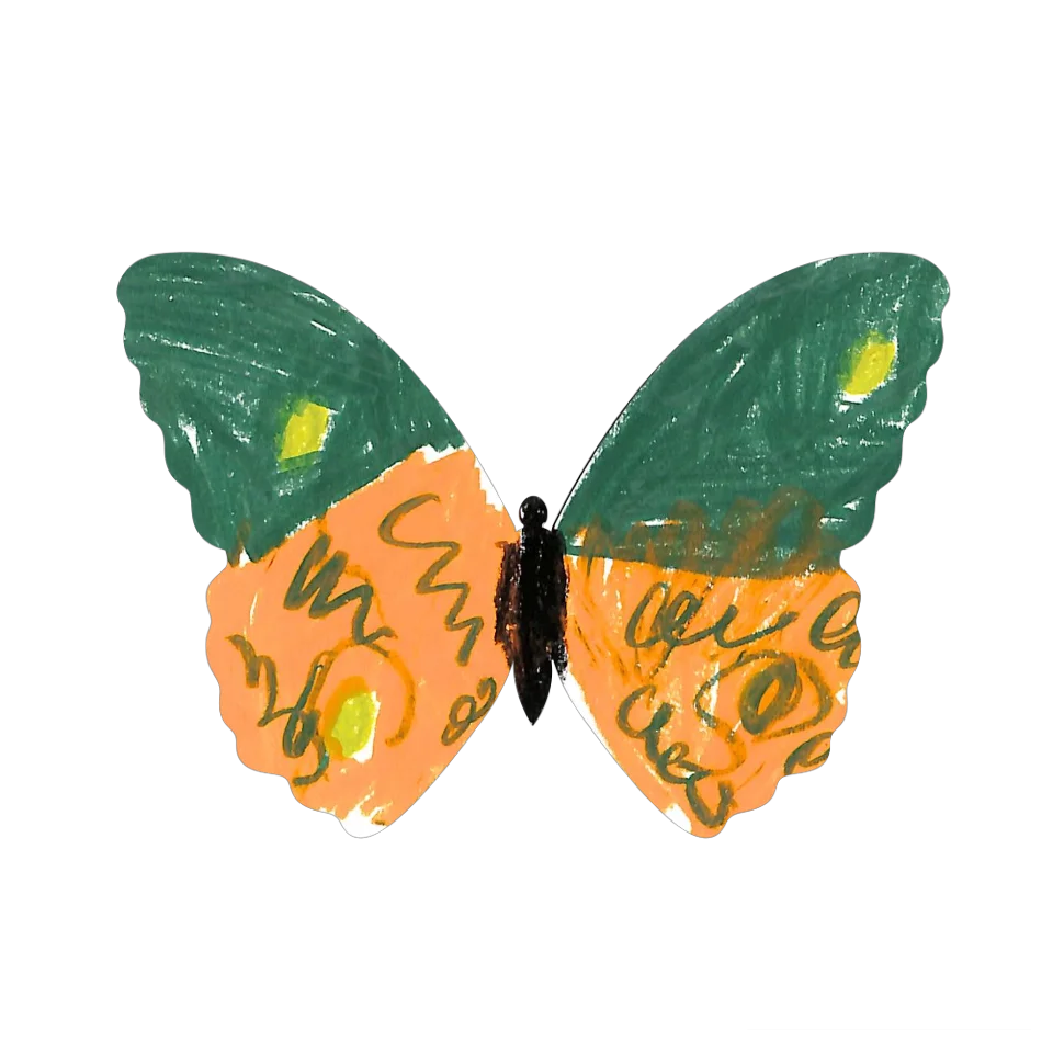 Original Butterfly Image